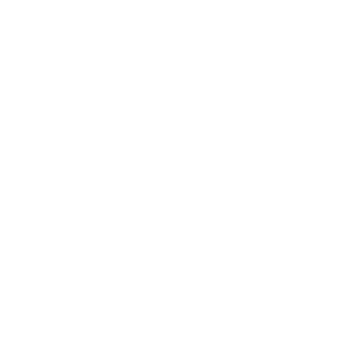 El Buen Conductor